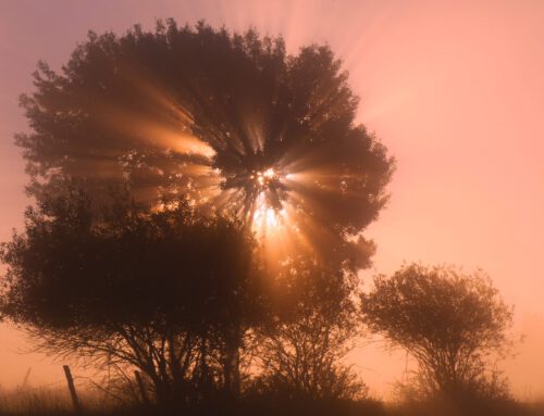 Strahle Licht in diese Welt
