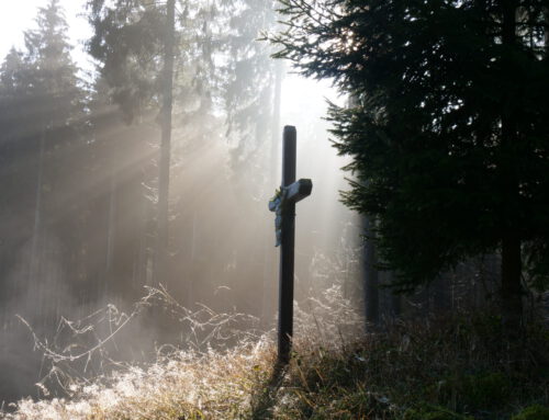 In der Hoffnung leben ….