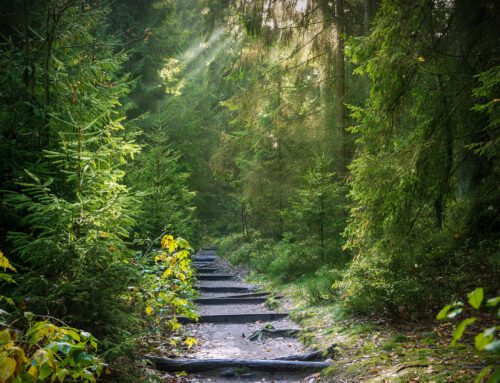 Den richtigen Weg finden